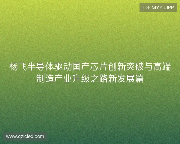 杨飞半导体驱动国产芯片创新突破与高端制造产业升级之路新发展篇 杨飞半导体驱动国产芯片创新突破与高端制造产业升级之路新发展篇